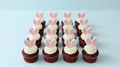 Bunny Ear Cupcakes
