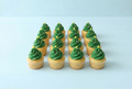 Mini Cupcakes
